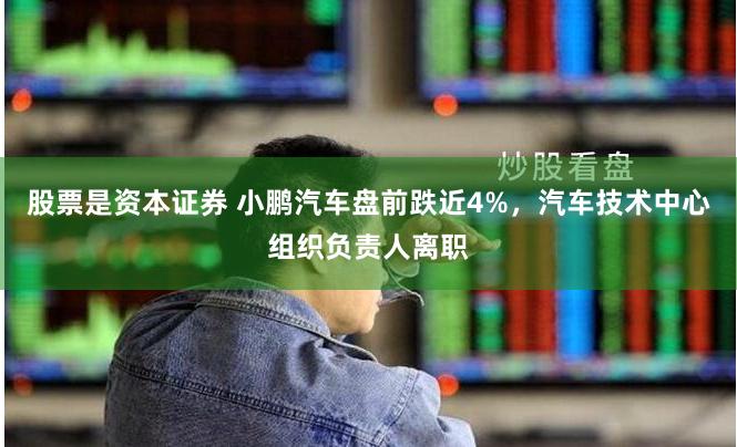 股票是资本证券 小鹏汽车盘前跌近4%，汽车技术中心组织负责人离职