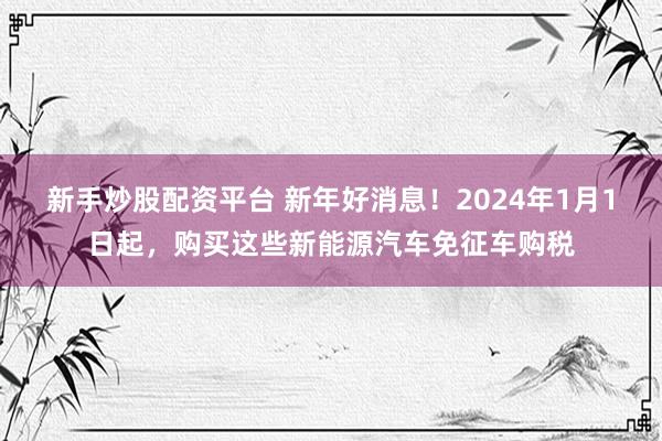 新手炒股配资平台 新年好消息！2024年1月1日起，购买这些新能源汽车免征车购税