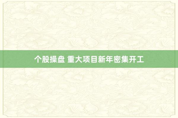 个股操盘 重大项目新年密集开工