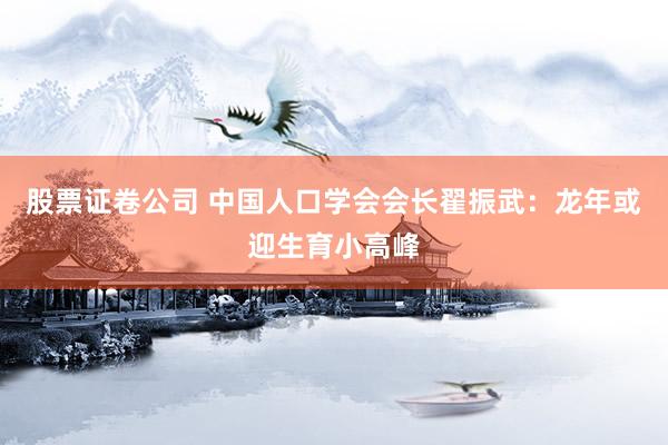 股票证卷公司 中国人口学会会长翟振武：龙年或迎生育小高峰